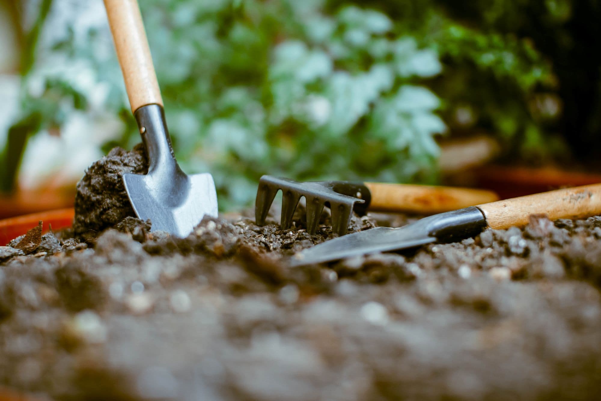 11_kerti munkák_Insta_febr.jpg