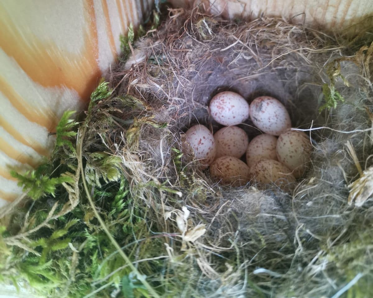 346274080_924989655476897_7683860972413841684_n (1).jpg