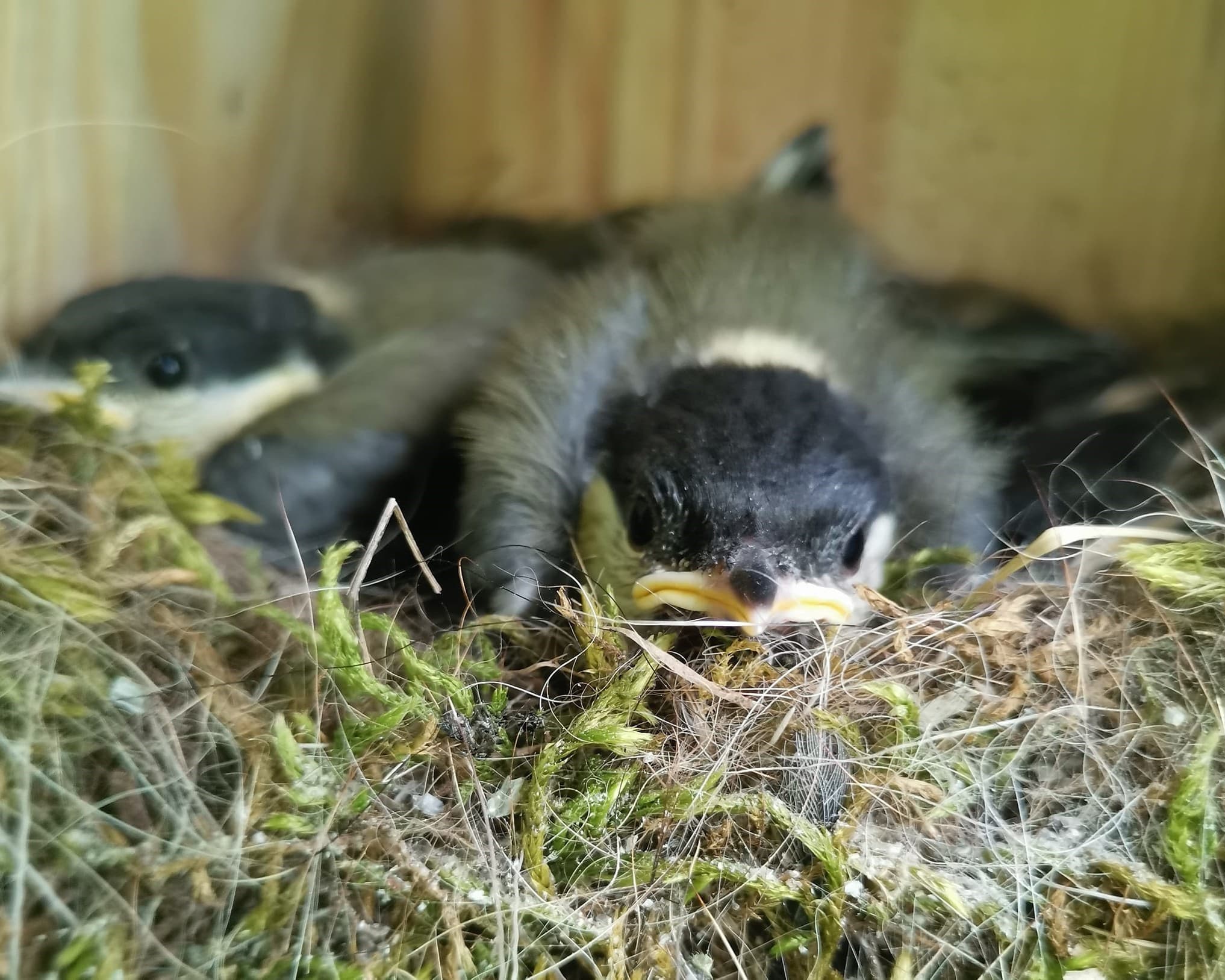 376724656_1591824344983311_4714956657345408141_n (1).jpg